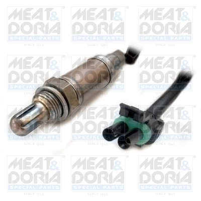 Oxygen Sensor